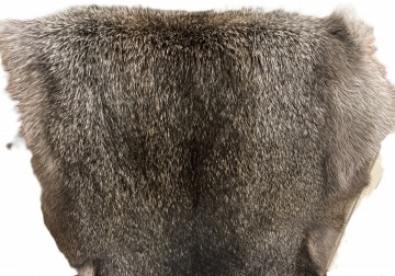 Ekte kaninskinn fra andre raser