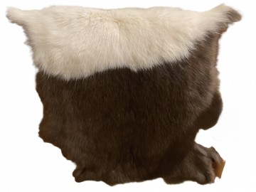 Ekte kaninskinn fra hollenderkanin